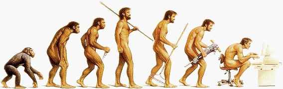 Evolution Humaine